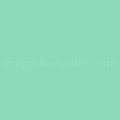 pantone-13-5714-tpx-cabbage-paint-color-match-2.jpg